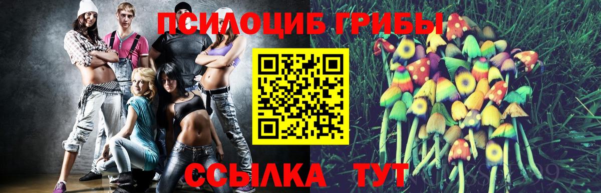 Галлюциногенные грибы мухоморы  Галлюциногенные грибы Cubensis  как найти закладки  Вход с VPN  Амурск 